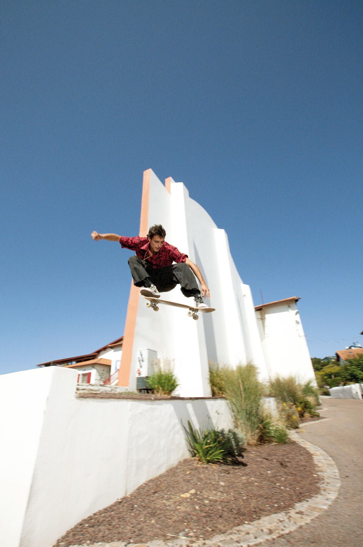Gnarly by David Ledoux