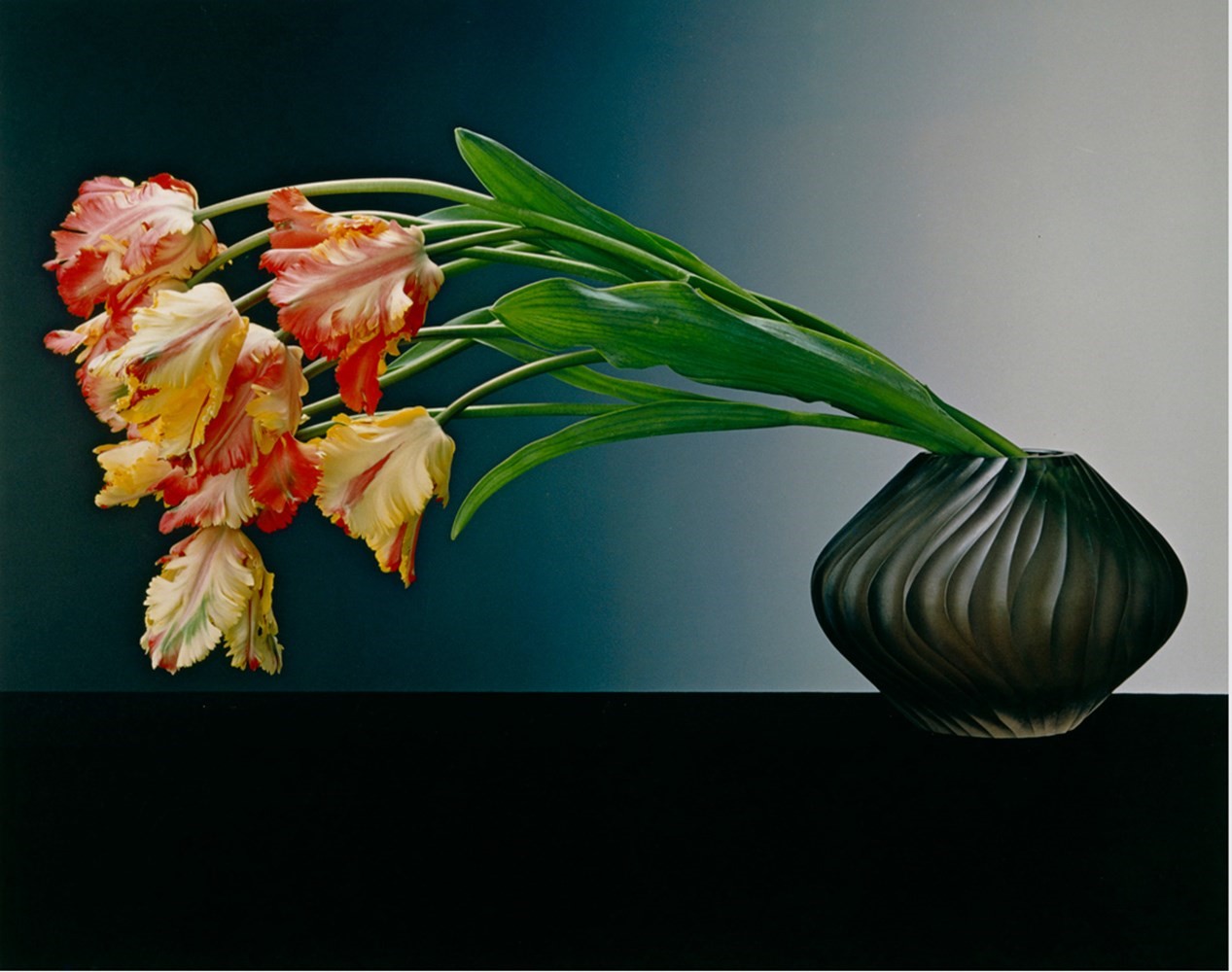 Robert Mapplethorpe's Sensual Flowers | AnOther