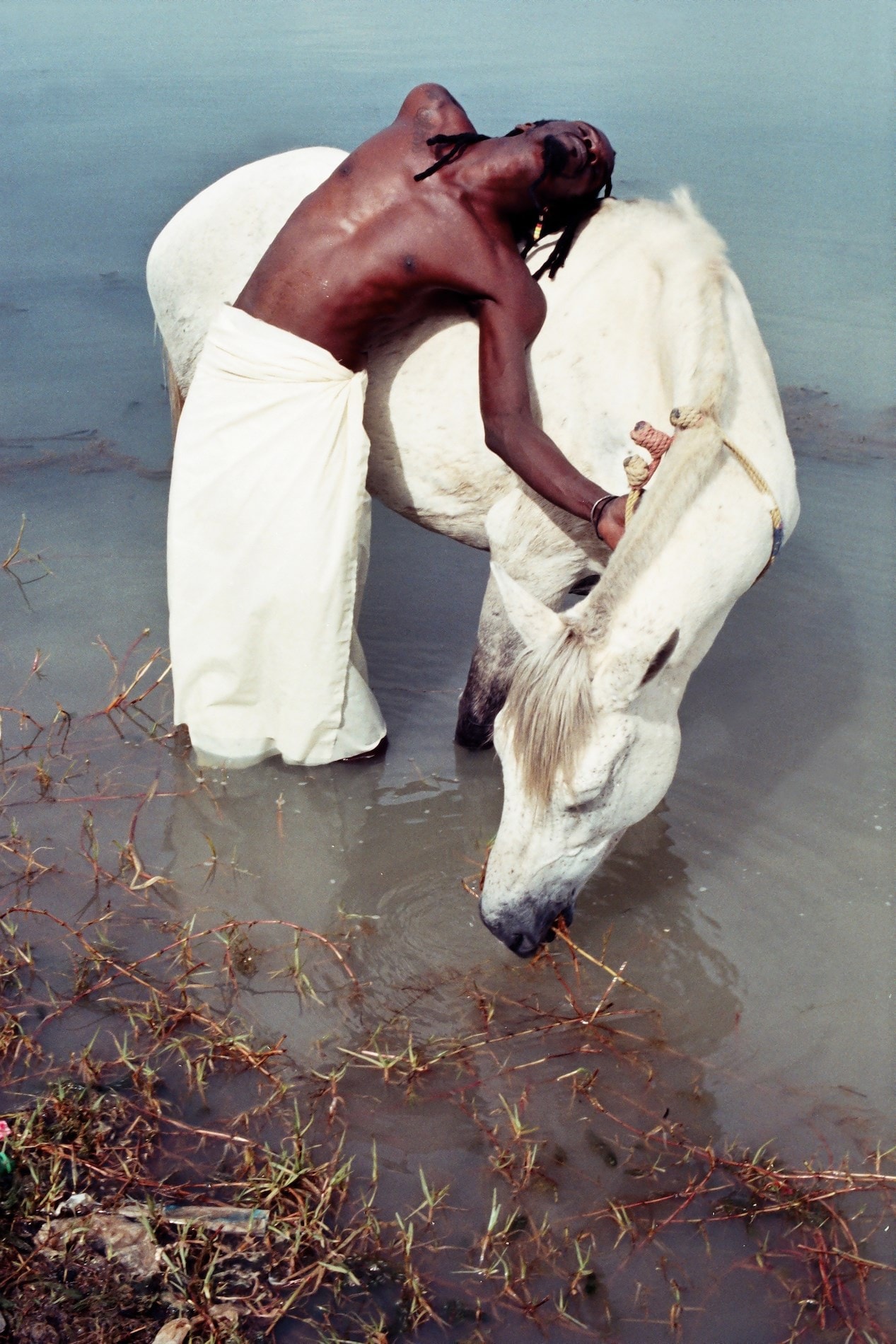 Agua