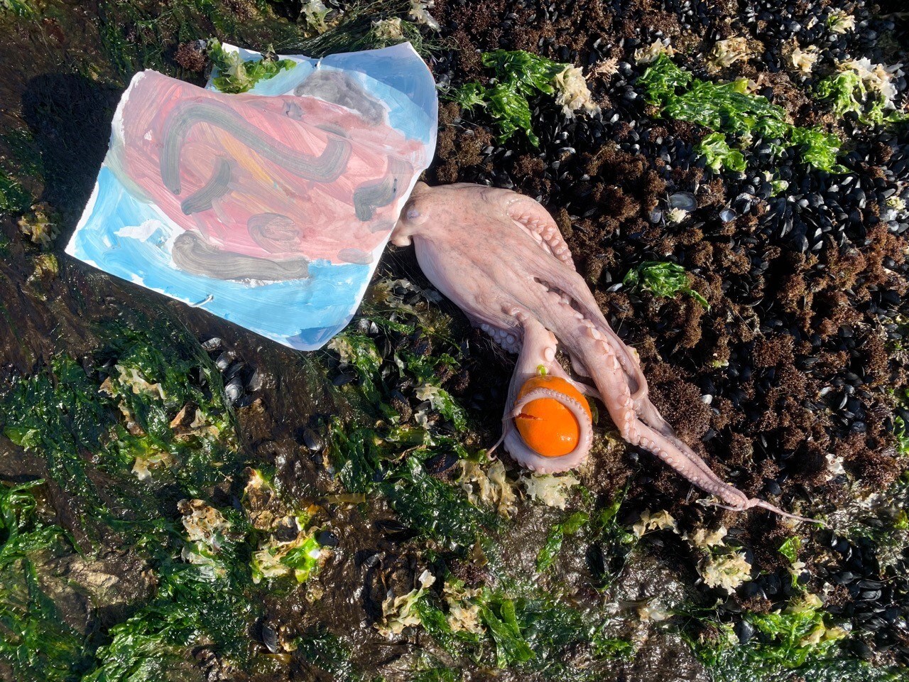 Laure Prouvost, film still, vidéo HD, 2019 (16)