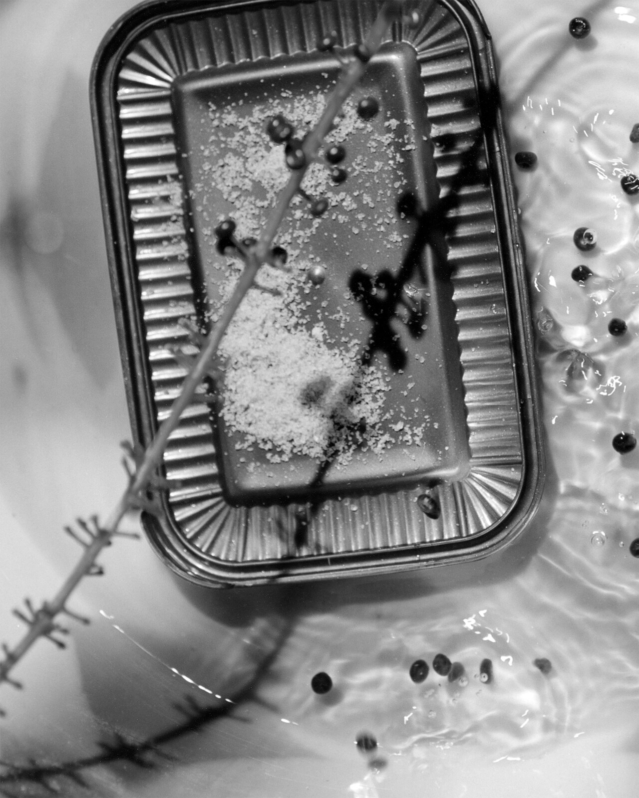 LP_Another_Still_Life_04