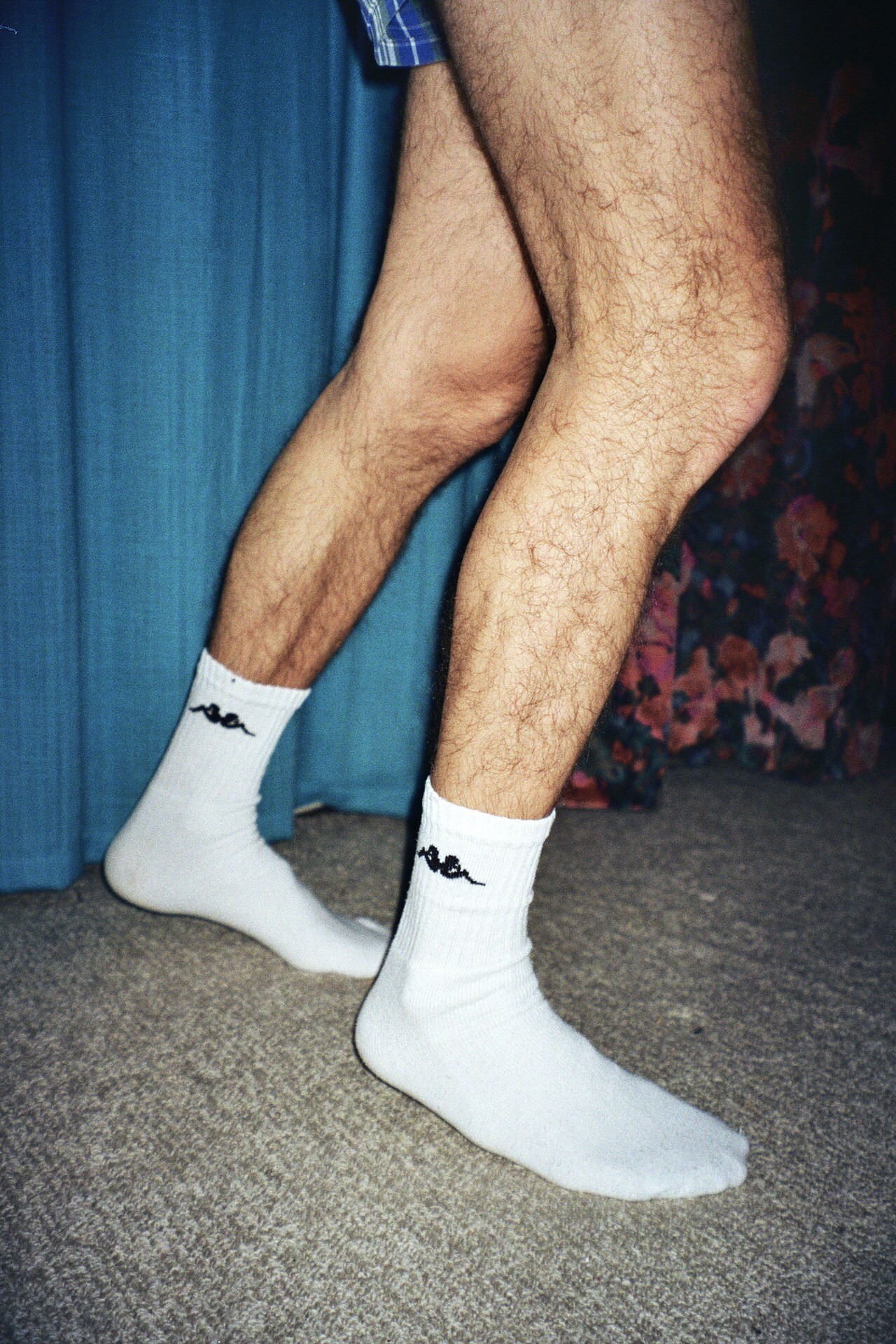 My Father’s Legs by Sara Perovic