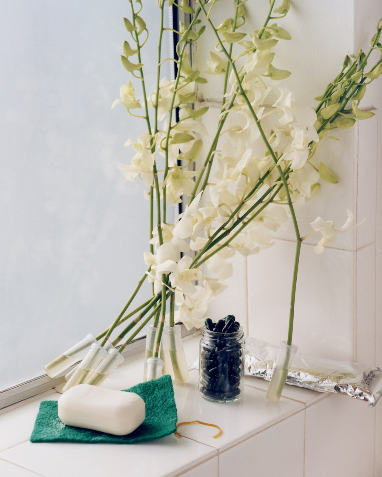 LP_Another_Still_Life_06