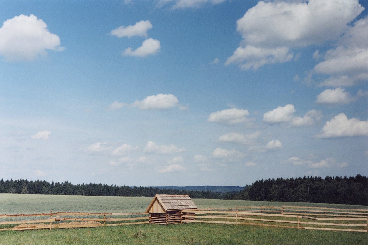 Masopust, 2014
