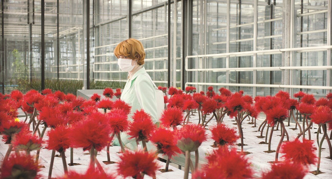Little Joe Still 4 - Emily Beecham as Alice - A BF