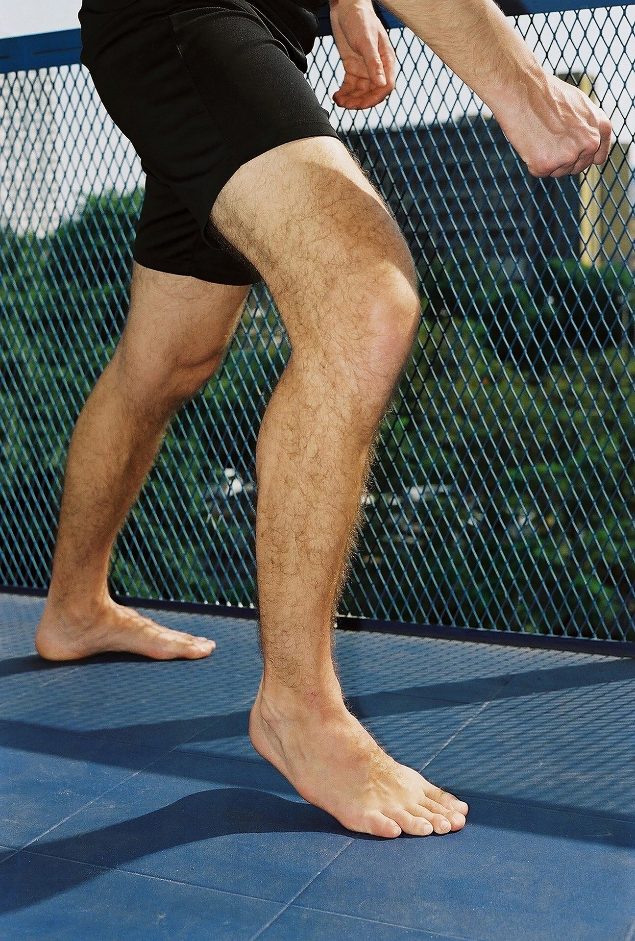 My Father’s Legs by Sara Perovic