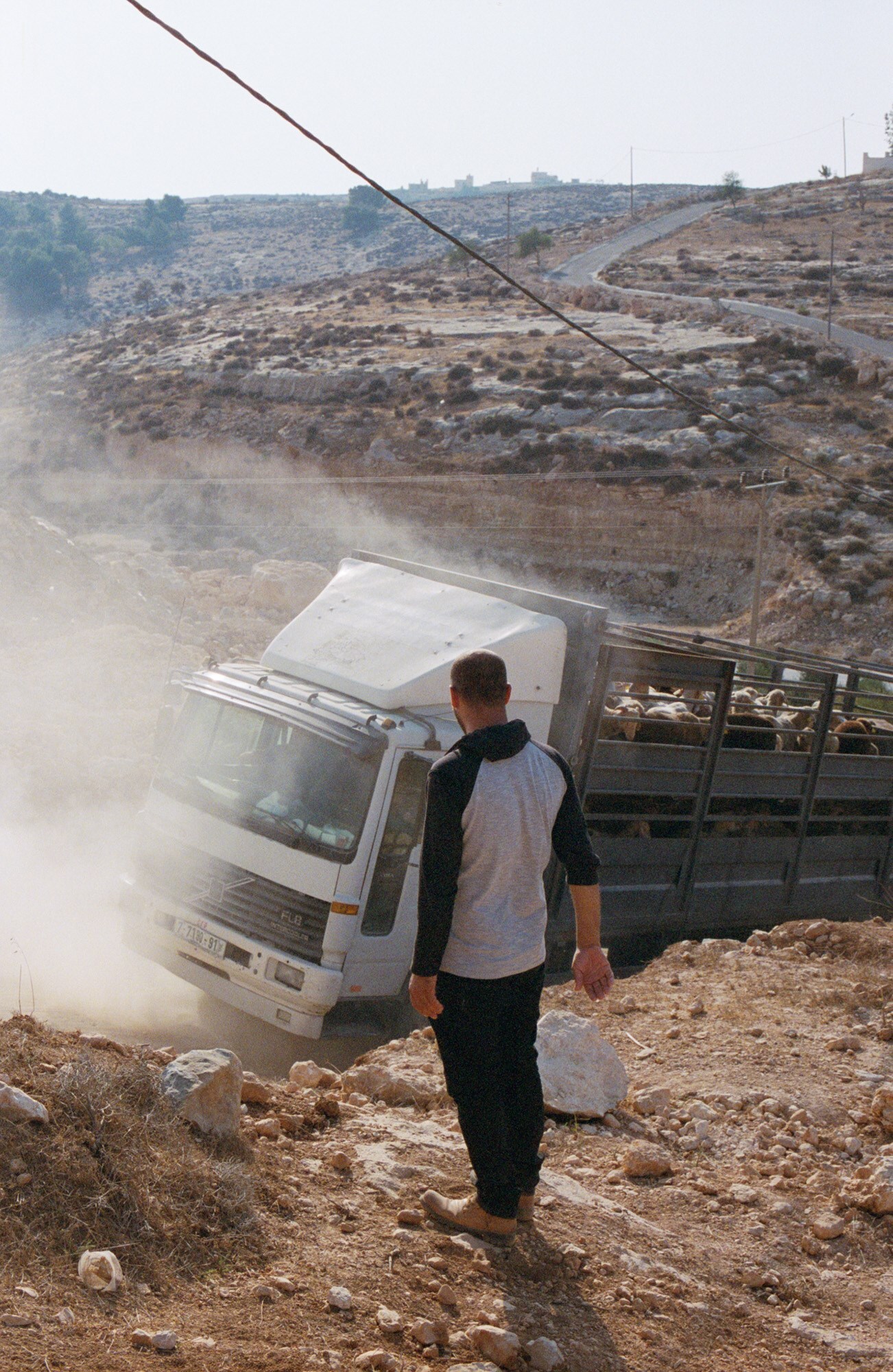 6 - Goat Farm, ad-Dhahiriya, Hebron, Palestine, 20