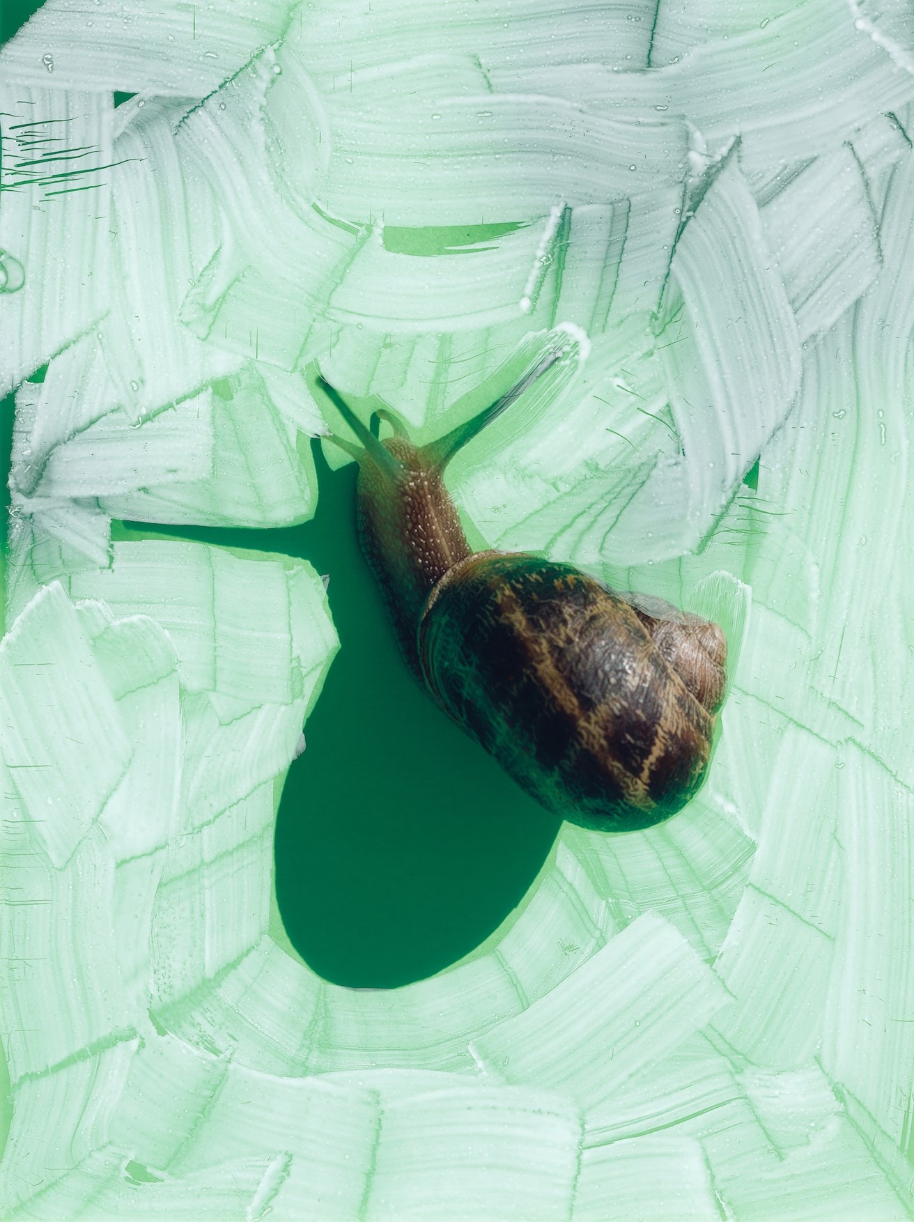 Modern Alchemy by Viviane Sassen and Emanuele Coccia 
