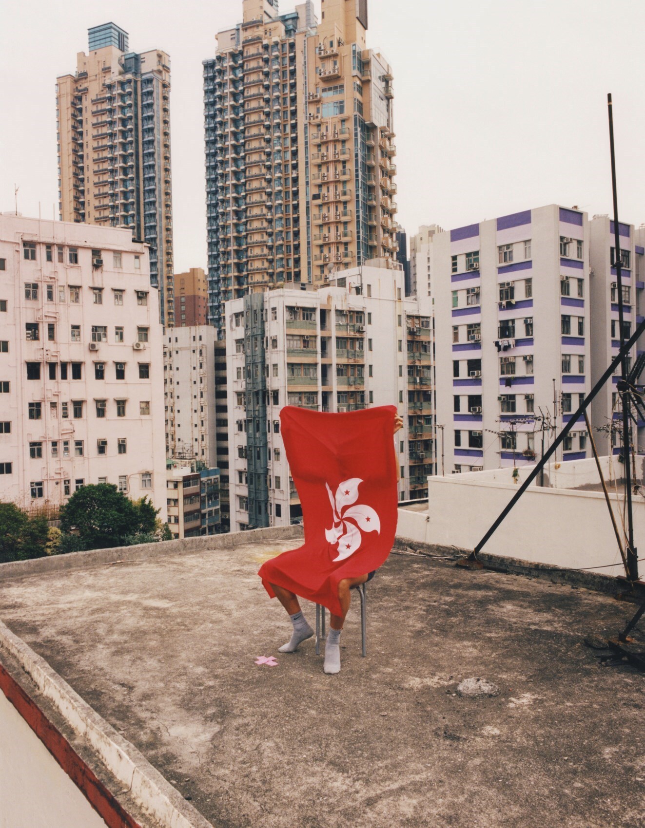 Boys of Hong Kong by Alexandra Leese