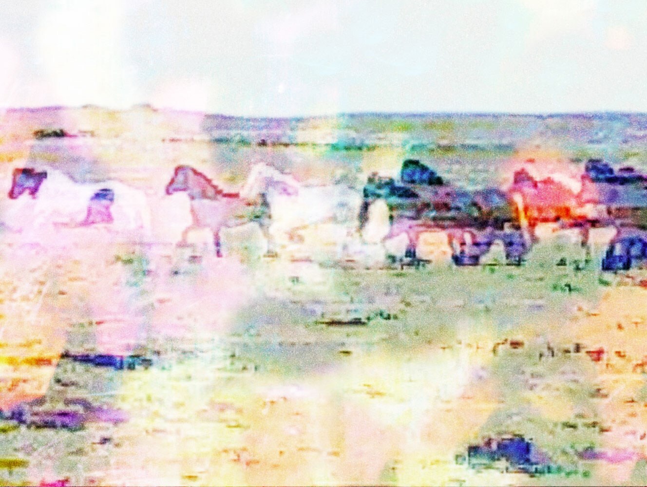 The Horses by Gareth McConnell