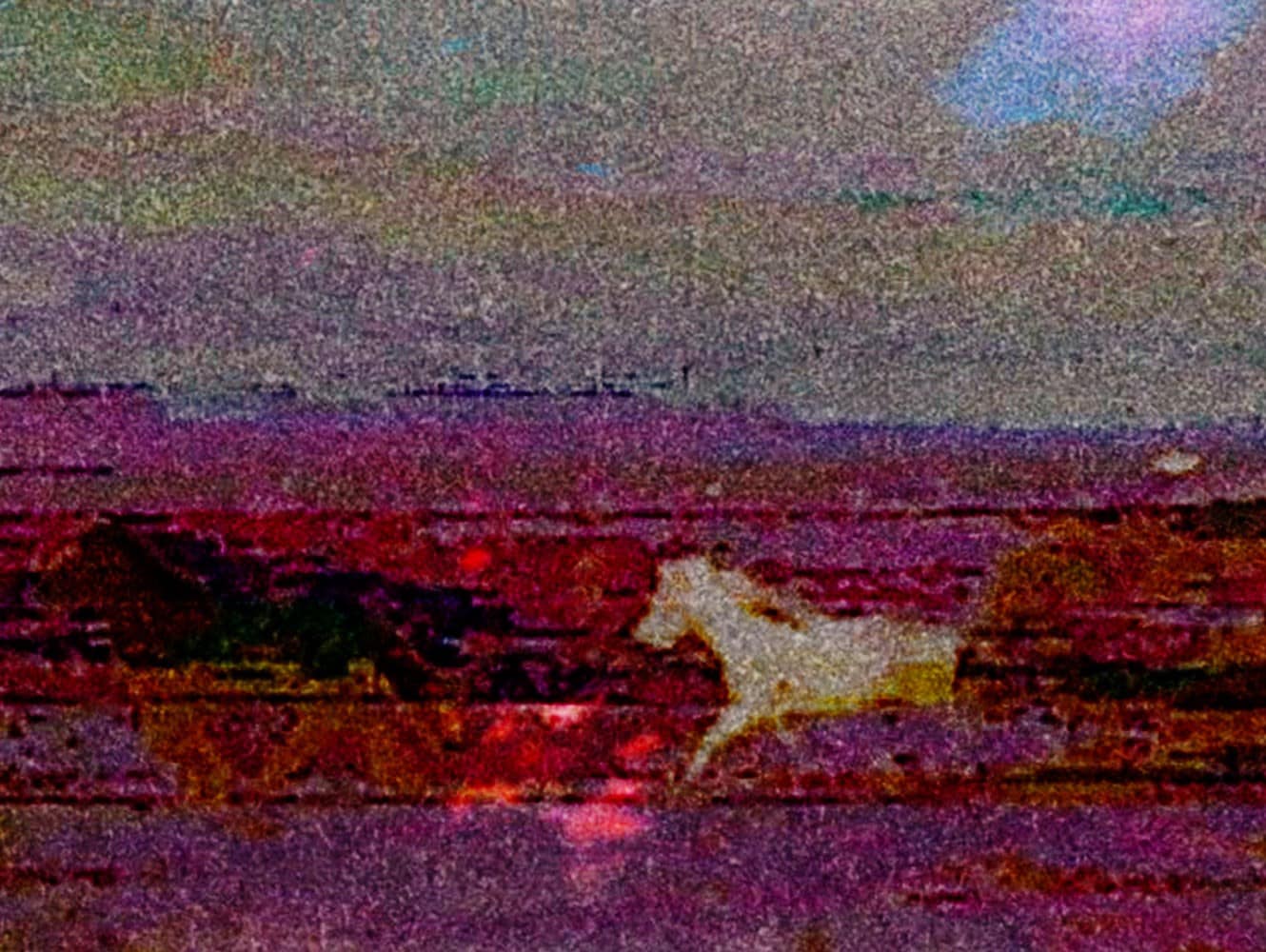The Horses by Gareth McConnell