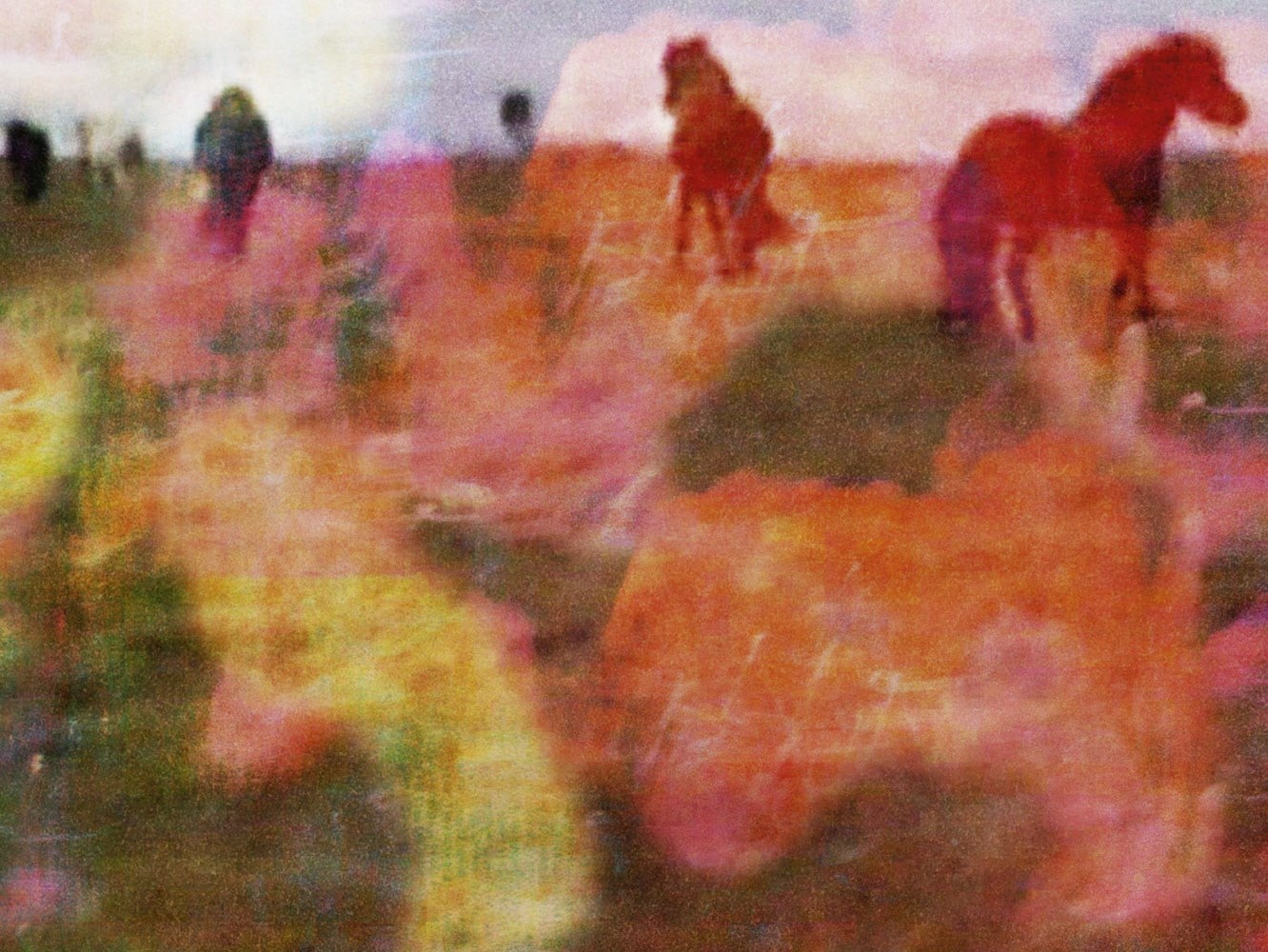 The Horses by Gareth McConnell