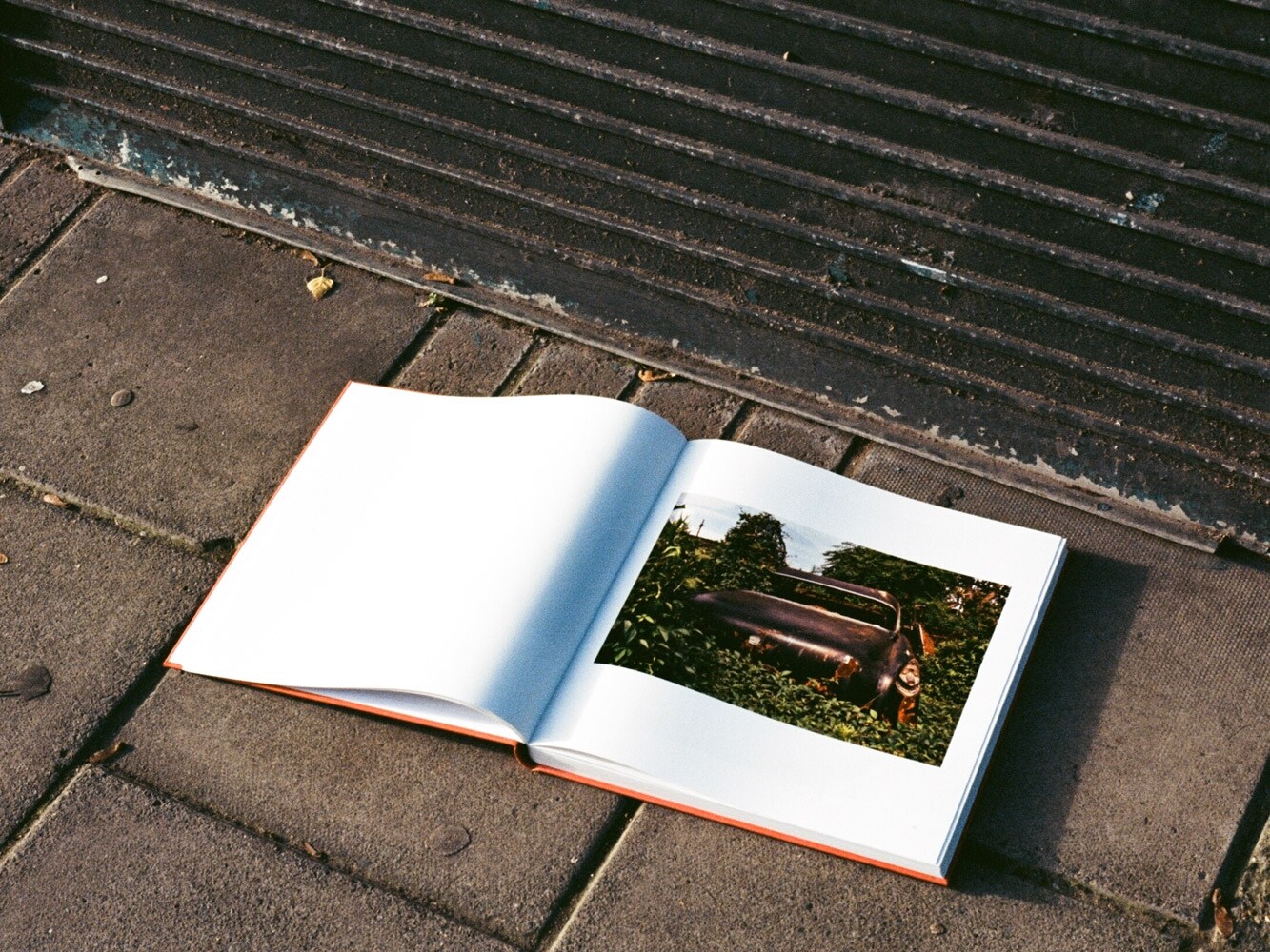 Los Alamos Revisited by William Eggleston