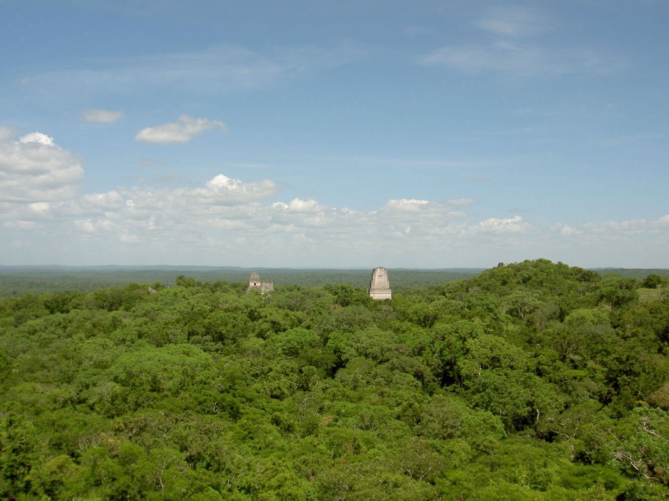 Where On Earth: Tikal Mike Murga