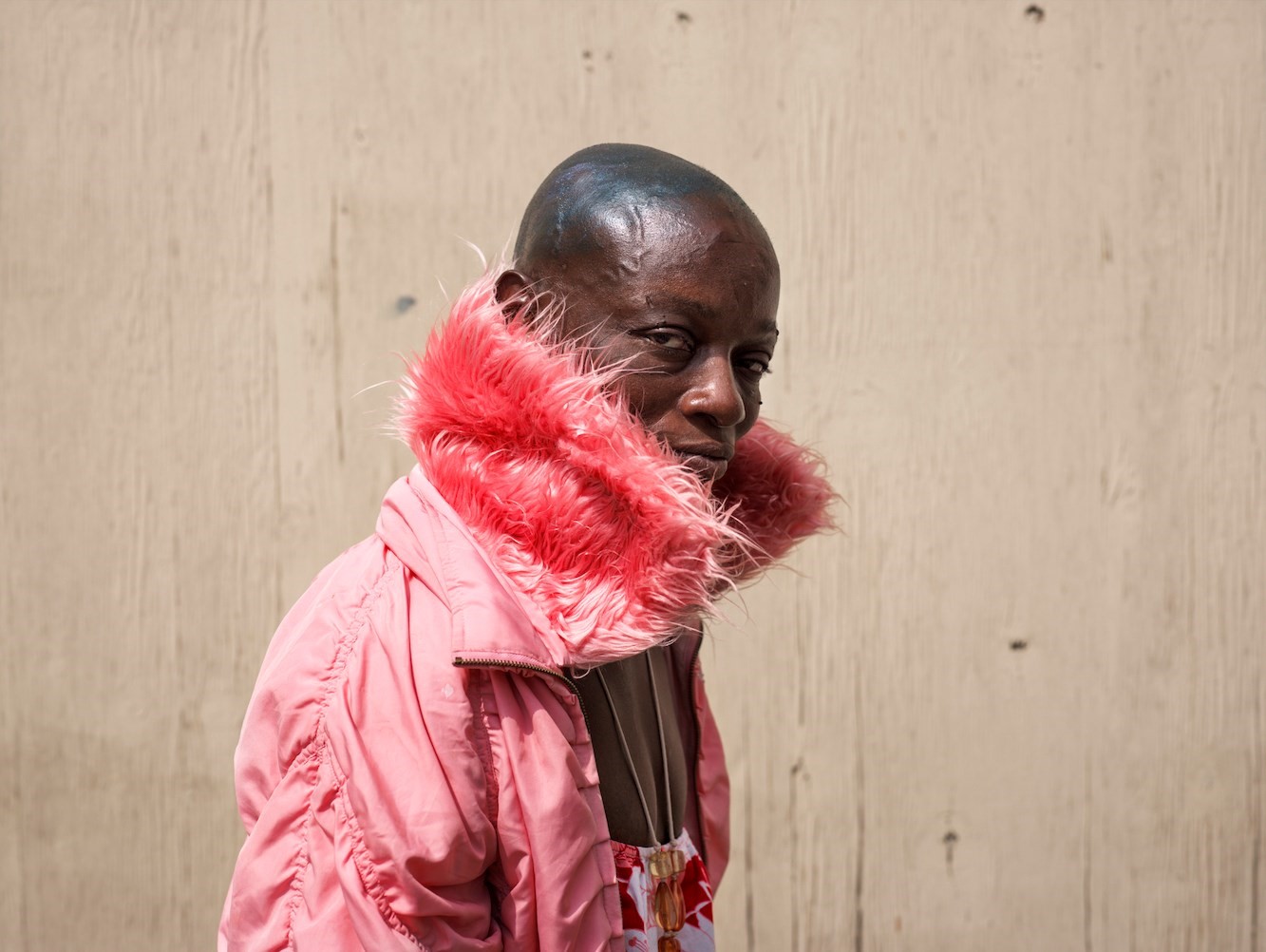 Californian Wildflowers by Pieter Hugo California Homeless 