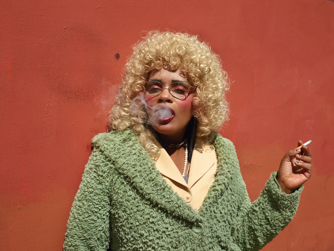 Californian Wildflowers by Pieter Hugo California Homeless 