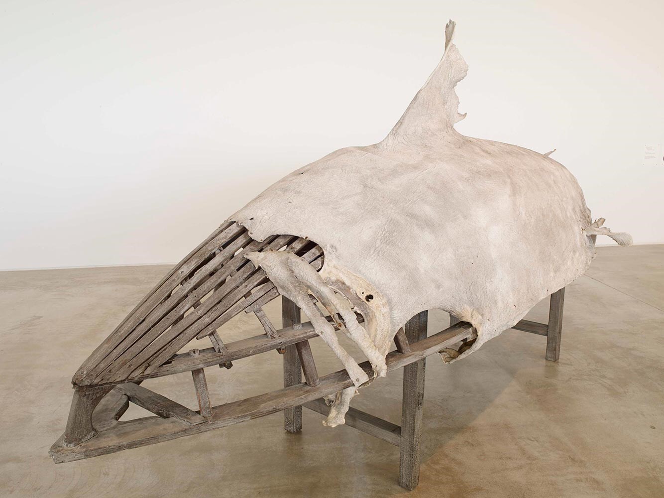 Dorothy-Cross,-Basking-Shark-Currach,-2013