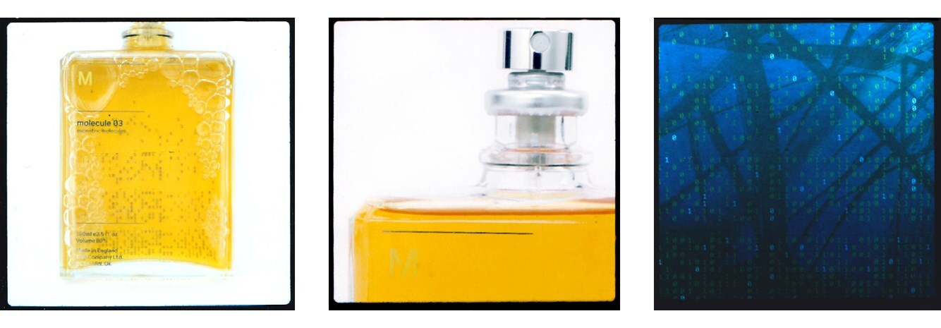 Man_Advent Calendar_55