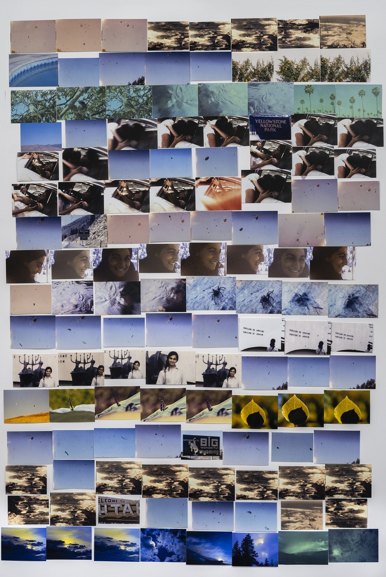 My Mother and Eye by Carmen Winant