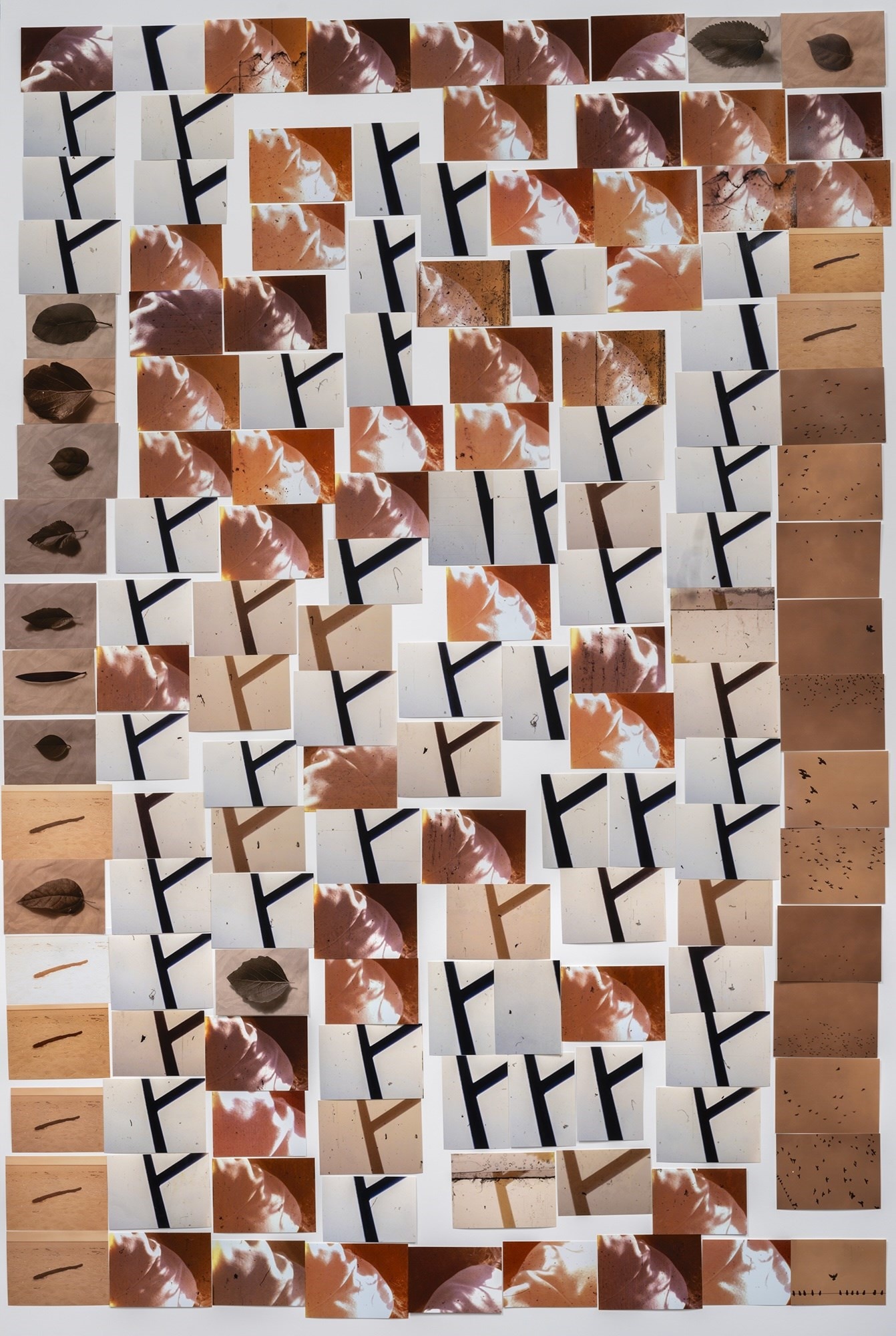 My Mother and Eye by Carmen Winant