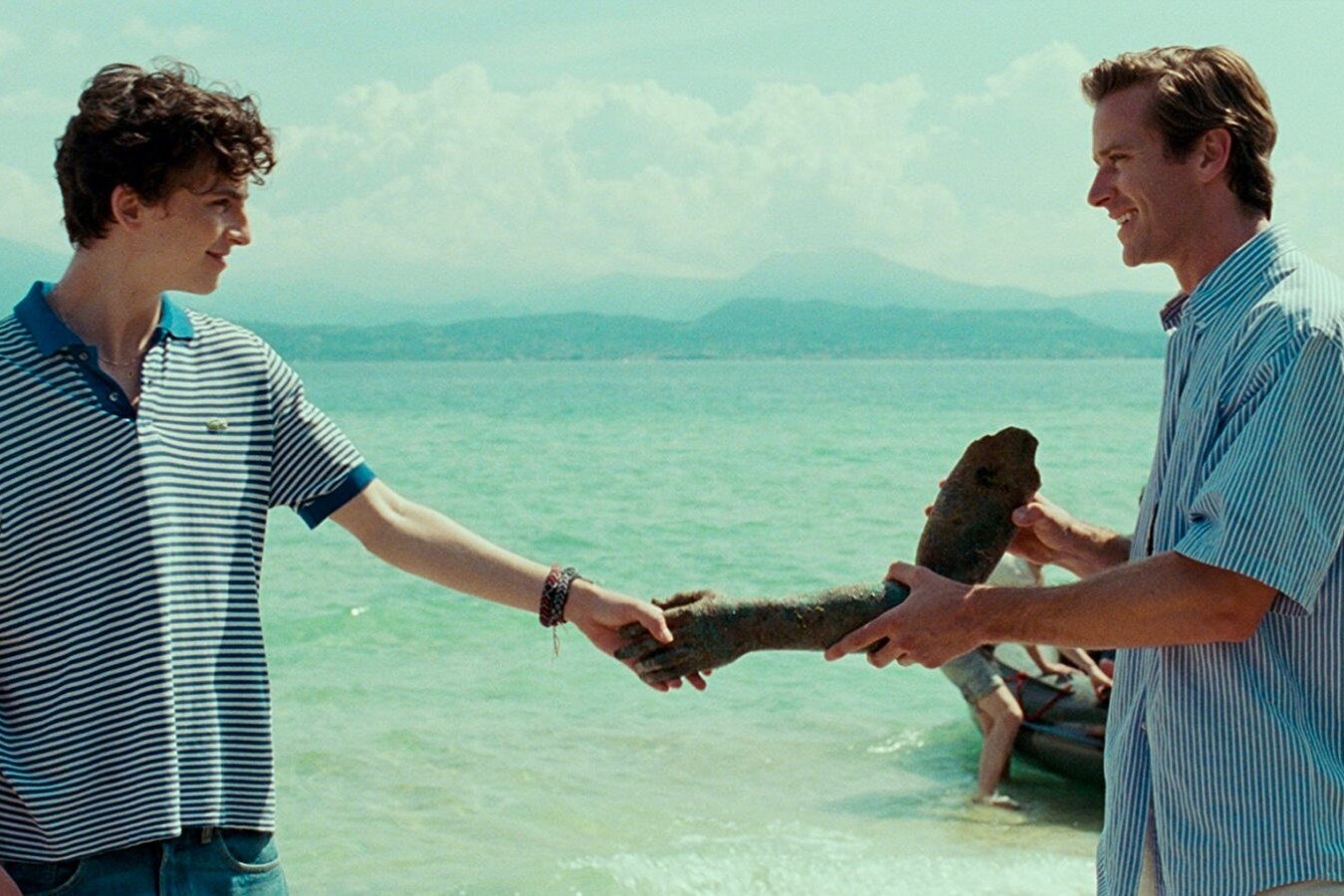 Call Me By Your Name Sequel