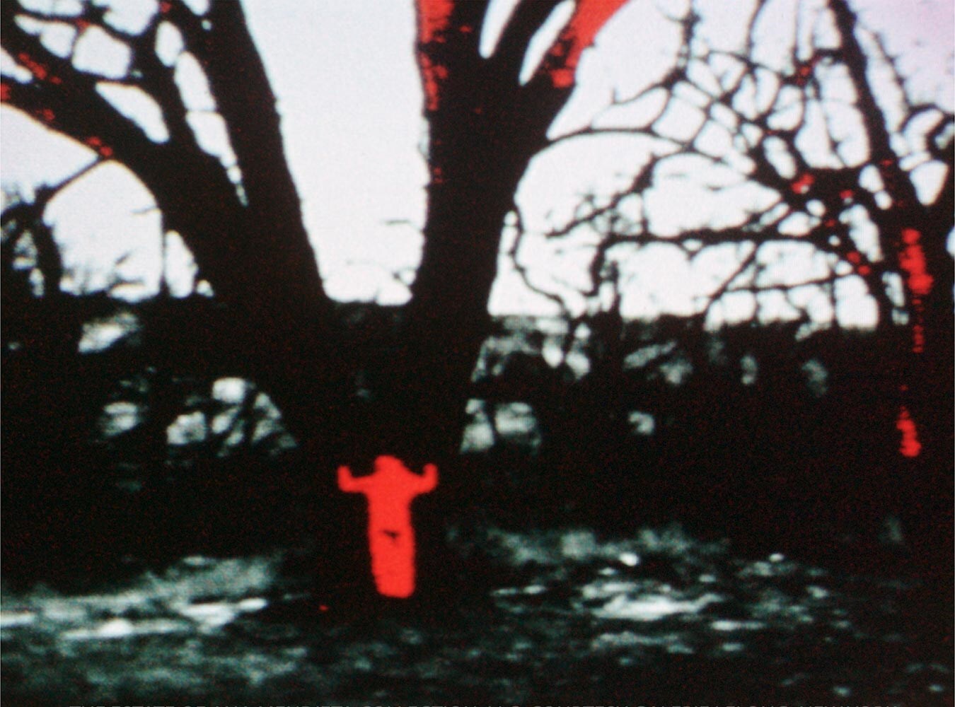 03_Mendieta_300dpi_10inch
