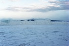 New Waves by Takashi Homma