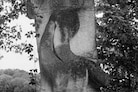 Camille Vivier, Chessy II, 2017