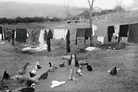Art Work: On the Creative Life by Sally Mann