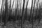 Peter Hujar: The Gracie Mansion Show Revisited