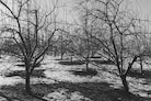 Peter Hujar: The Gracie Mansion Show Revisited