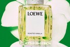 Eva Victor Loewe