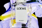 Eva Victor Loewe
