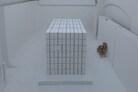 SHOWstudio 25th Anniversary
