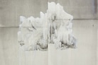 Lorna Simpson: Third Person Venice 
