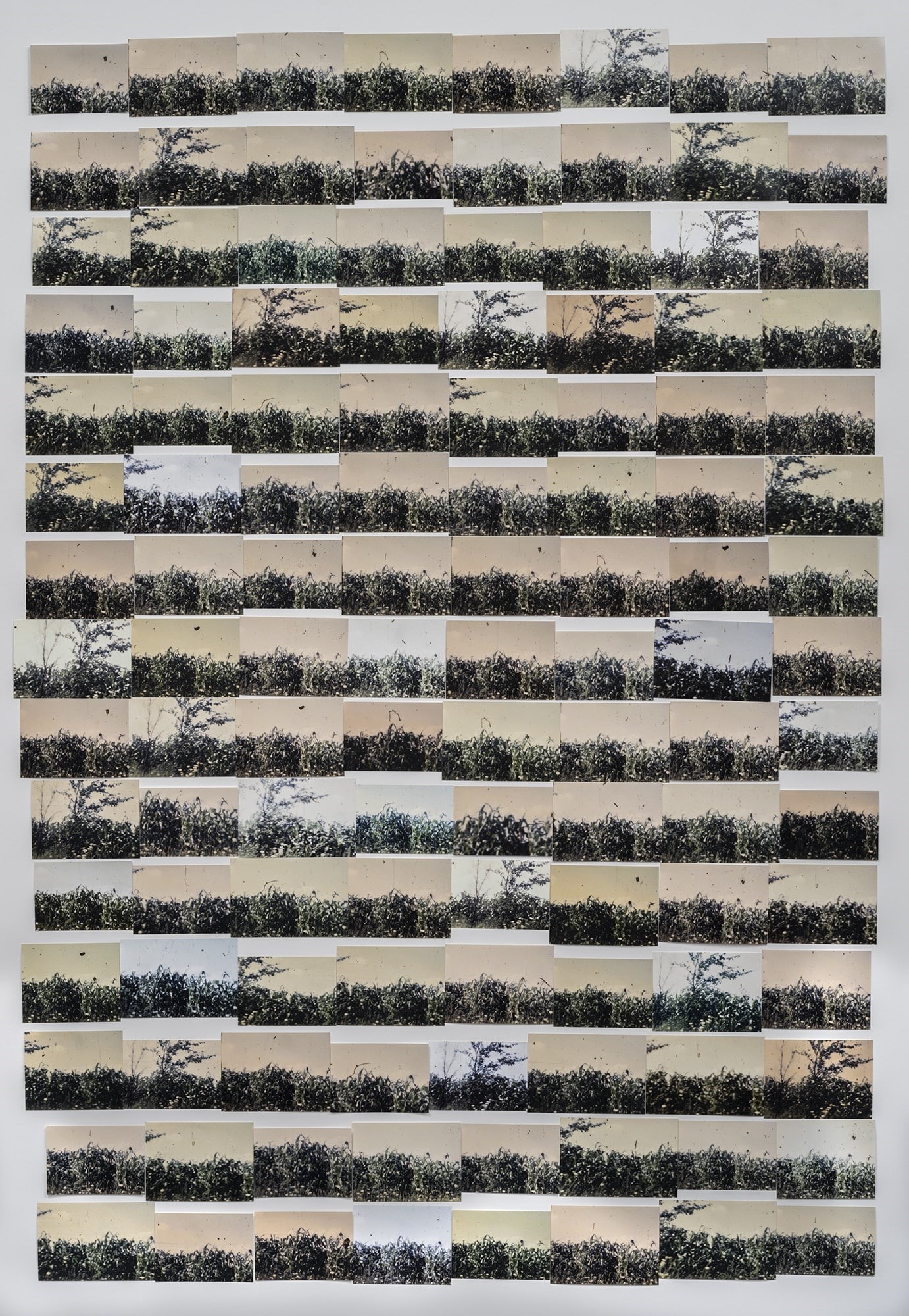 My Mother and Eye by Carmen Winant
