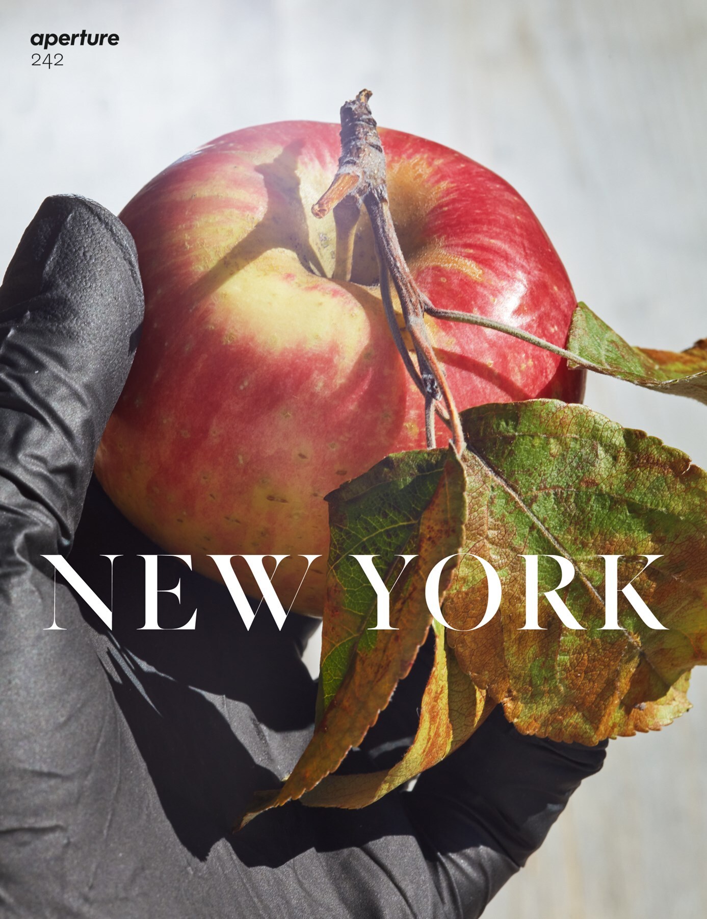 APERTURE-NEW-YORK-COVER