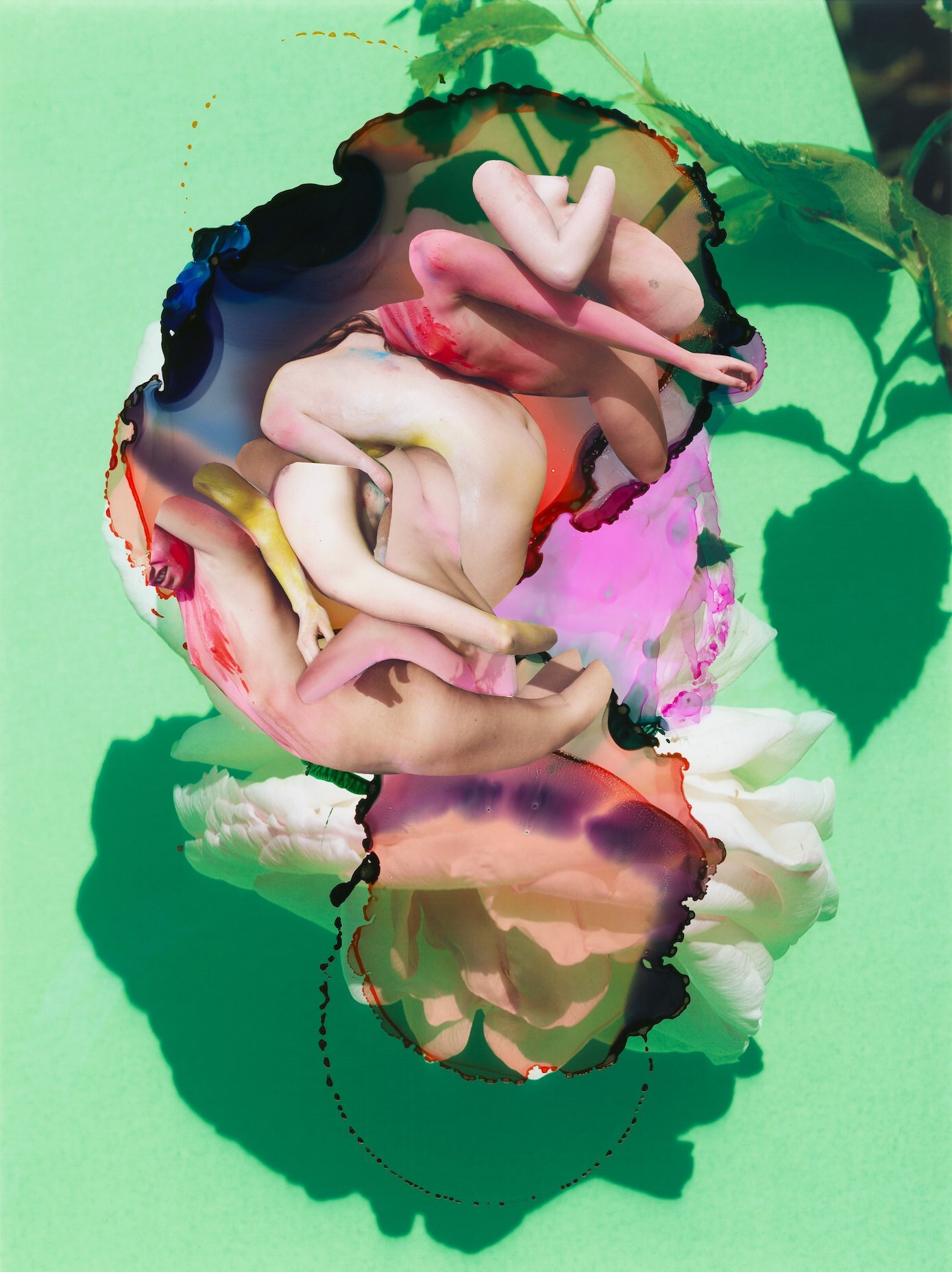 Modern Alchemy by Viviane Sassen and Emanuele Coccia 