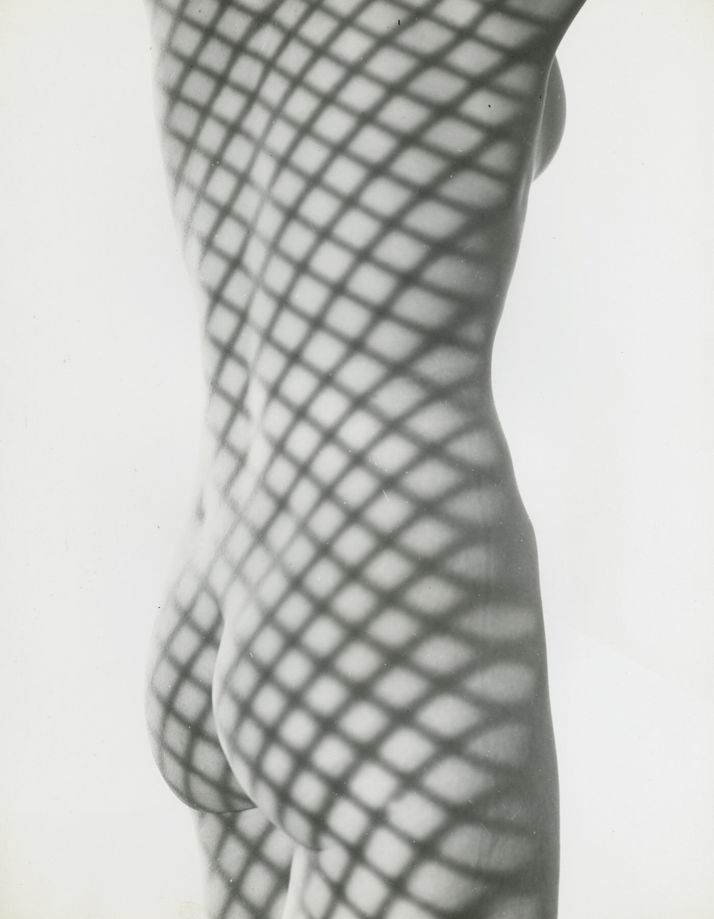 Erwin Blumenfeld _ Nude with Screen Shadow, NY, 19