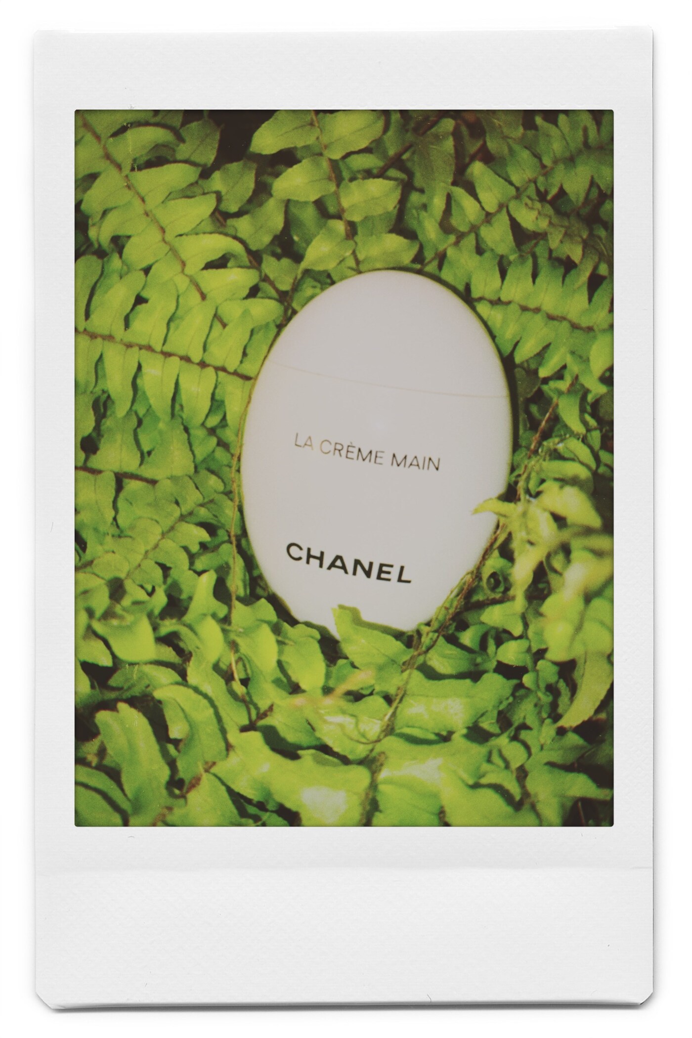 CHANEL BEAUTY