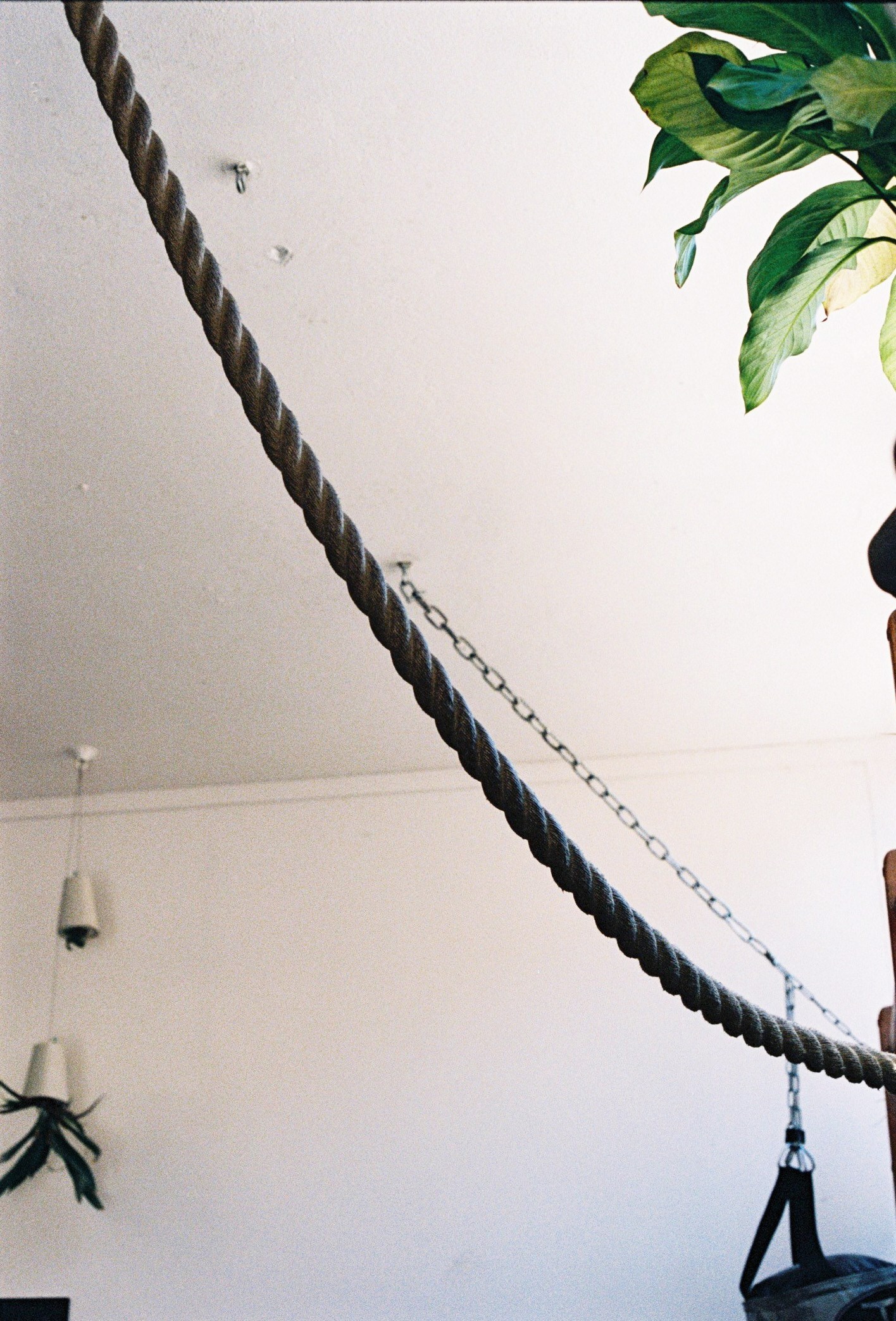 TH_gym_-000025-2