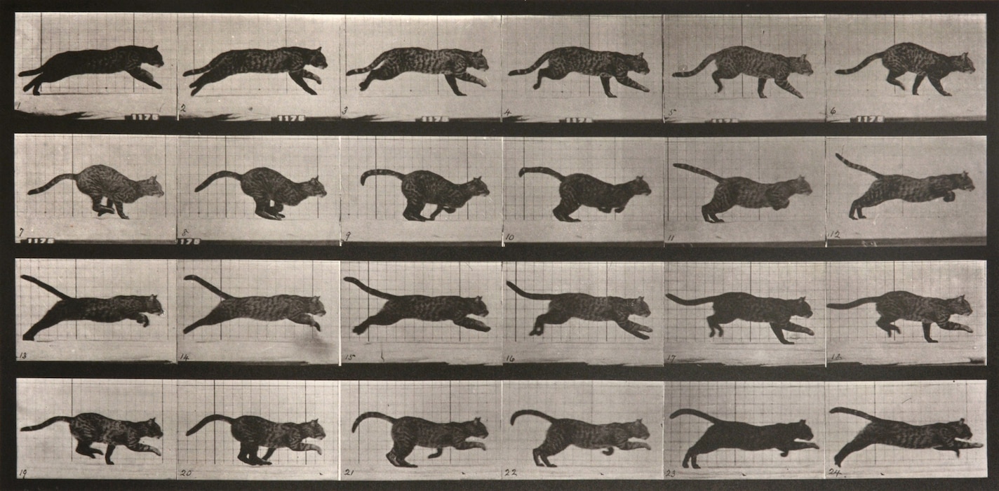 Eadweard Muybridge: The Curious Forefather of Cinema | AnOther