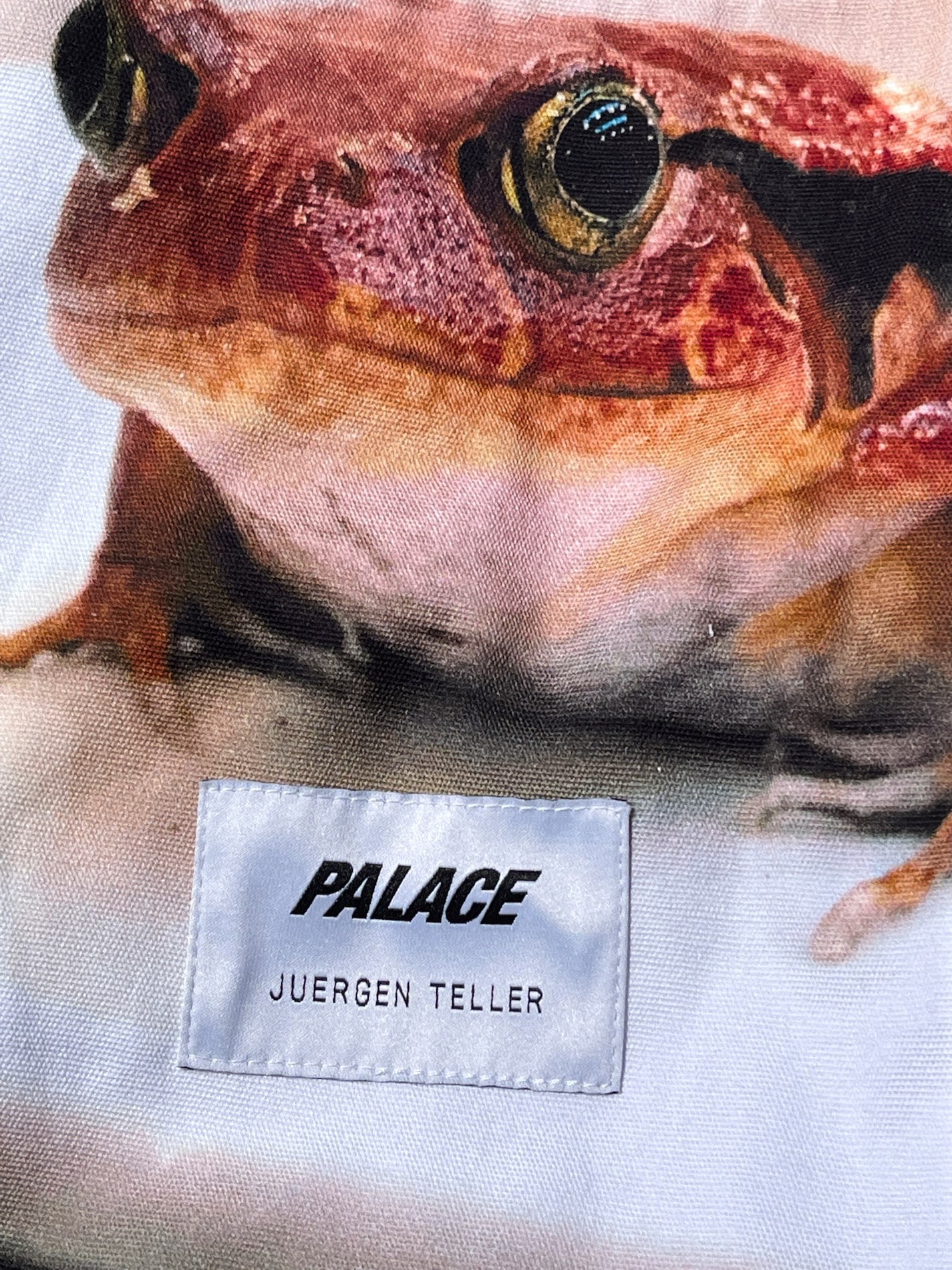 Palace x Juergen Teller