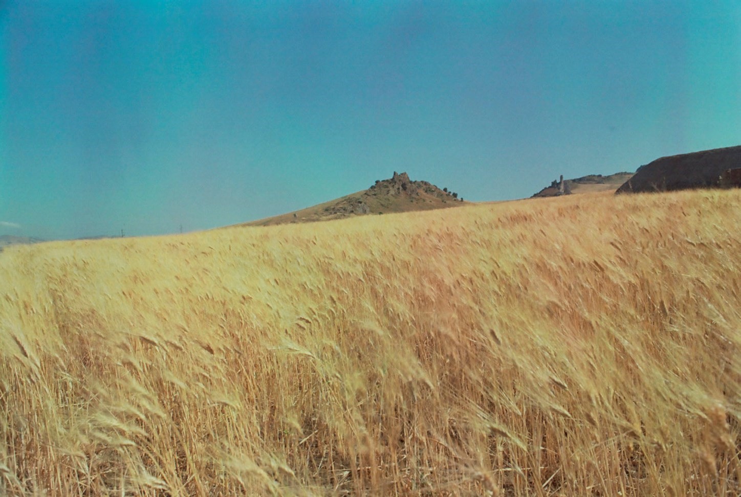 Angelo Vignali, Flattened in Time and Space, 2019,