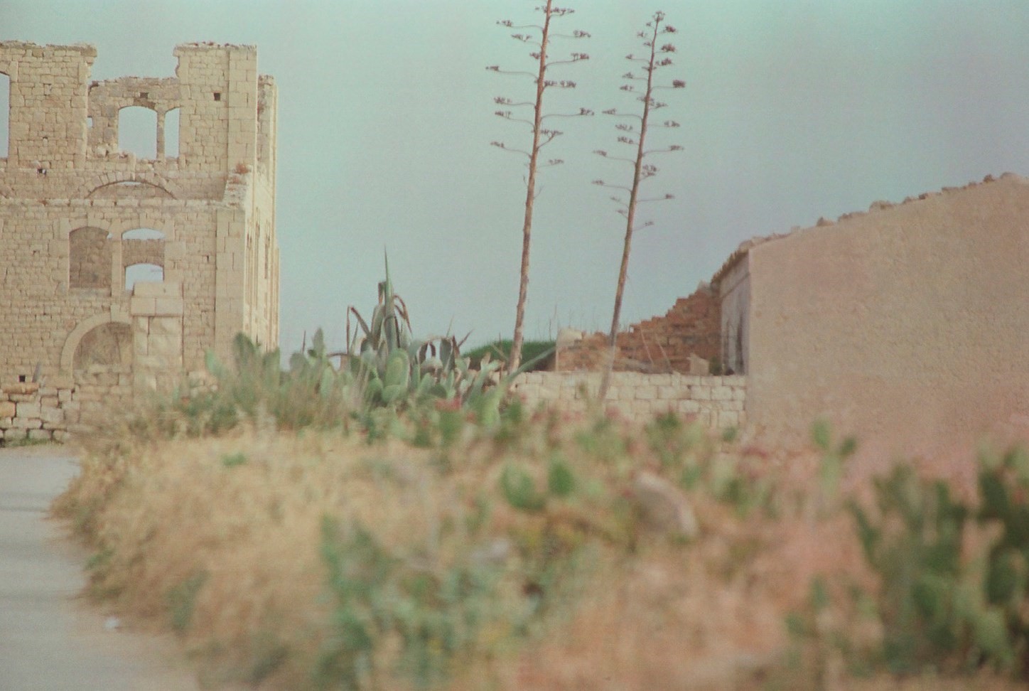 Angelo Vignali, Flattened in Time and Space, 2019,