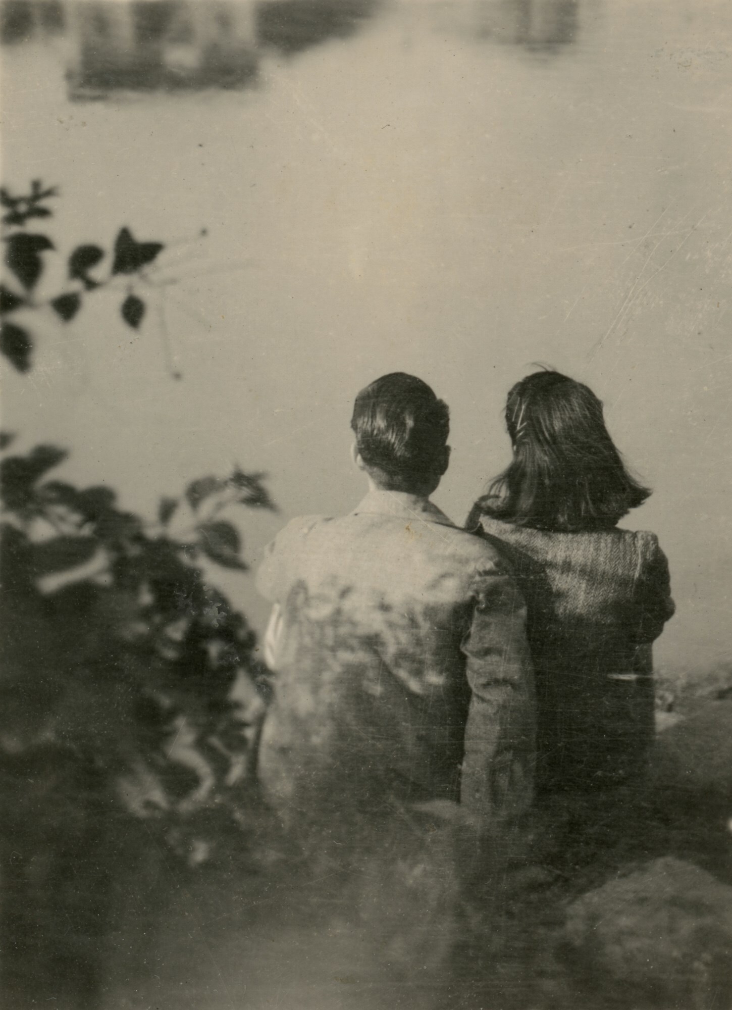 Untitled from History of Life Cai Dongdong book