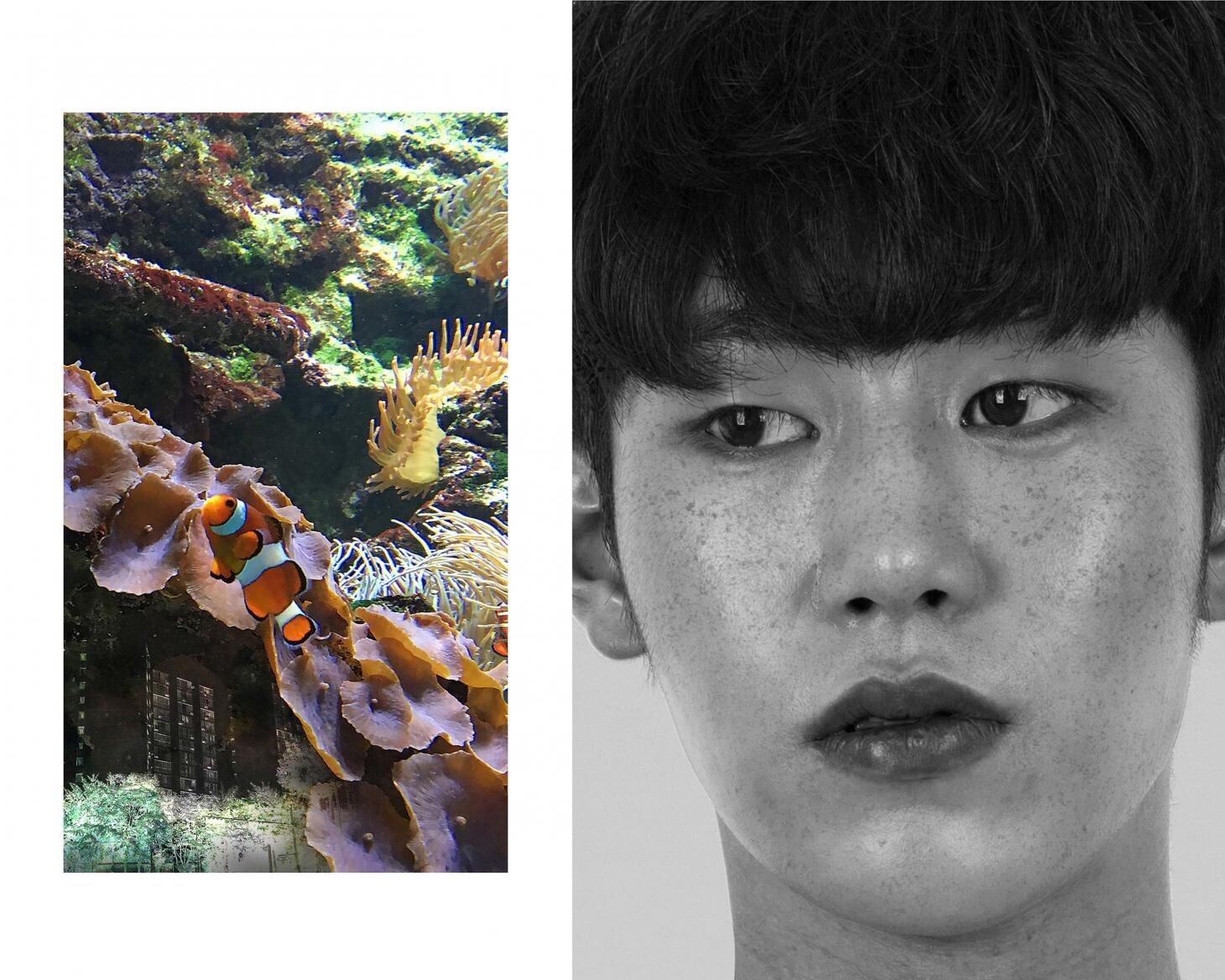 dior_whatiswrongwithyou_sulyoungjoo_chung-ang_univ