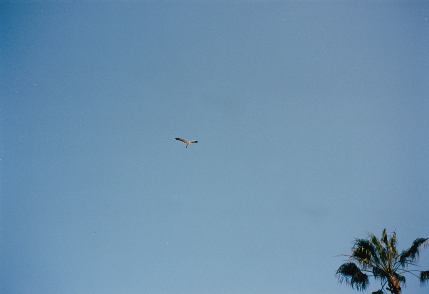 Photography by Niall O&#39;Brien