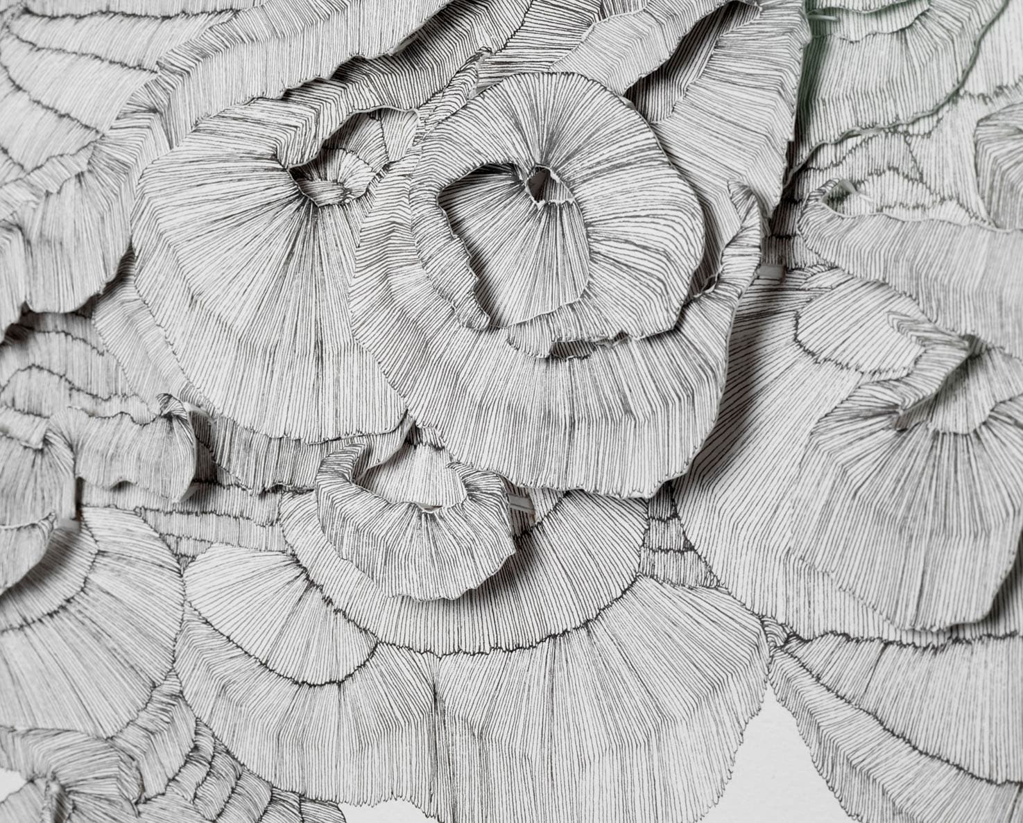 Inheritance (detail) by Alice von Maltzahn