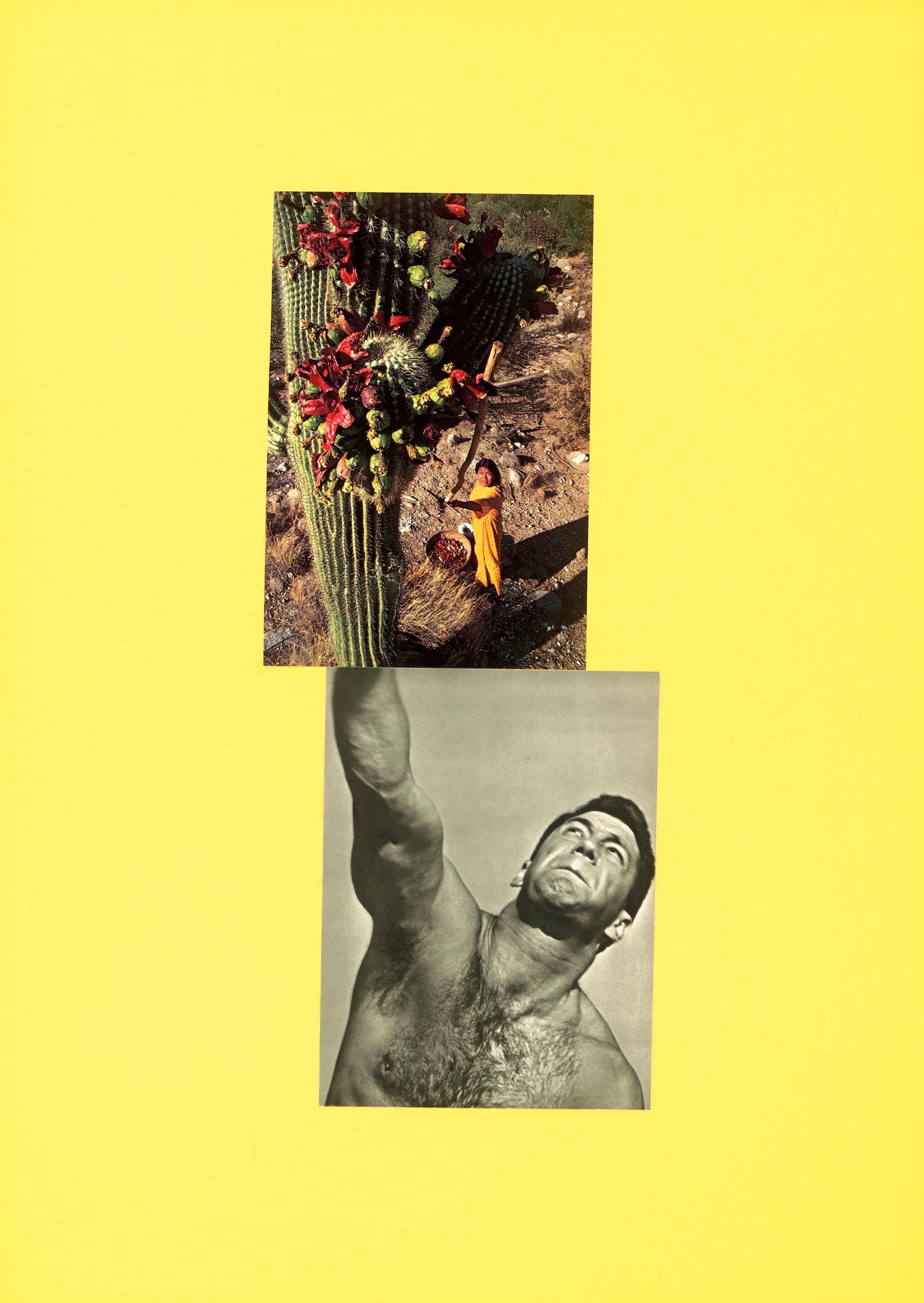 Love Songs: Photography and Intimacy ICP 